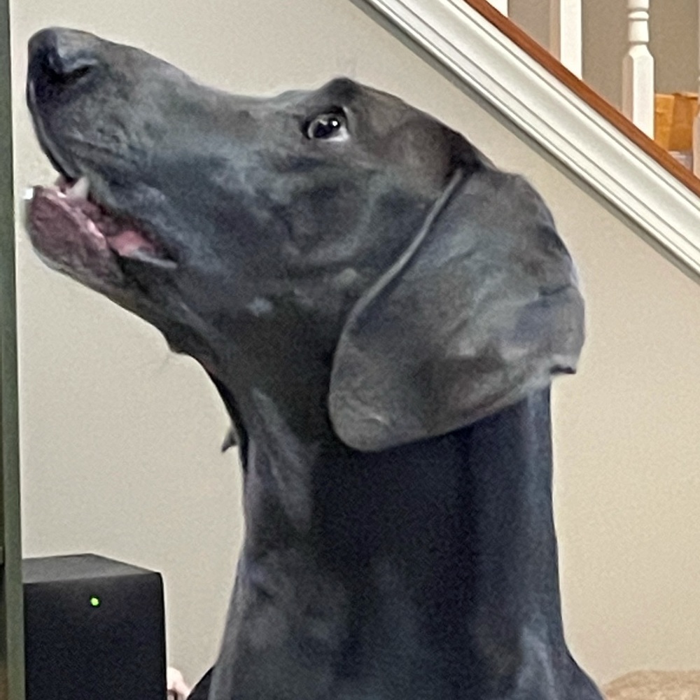 Meet your Posher, Jeffery